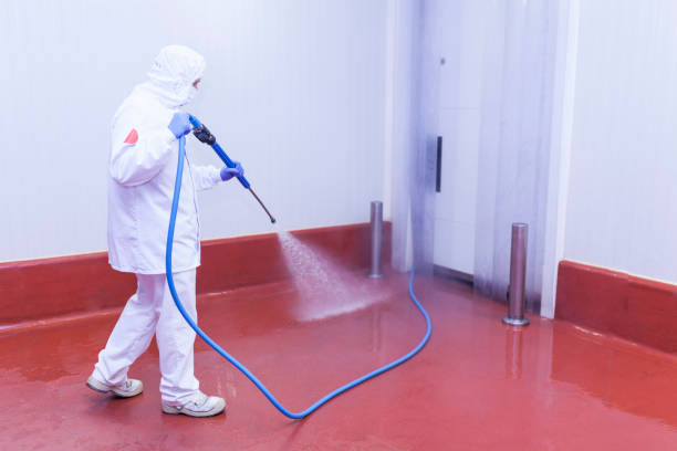 Trusted Lillian, AL  Pressure Washing Services Experts