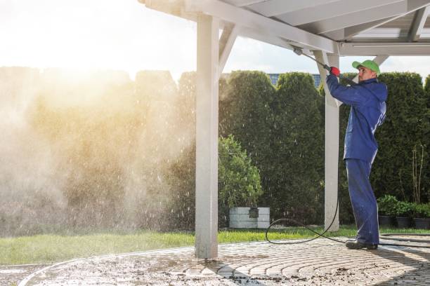 Best Sidewalk and Walkway Cleaning  in Lillian, AL